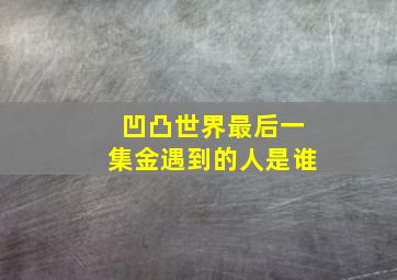 凹凸世界最后一集金遇到的人是谁