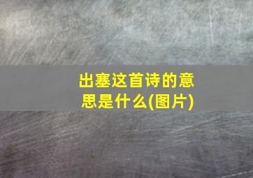 出塞这首诗的意思是什么(图片)