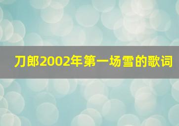 刀郎2002年第一场雪的歌词