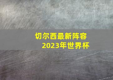 切尔西最新阵容2023年世界杯