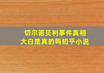 切尔诺贝利事件真相大白是真的吗知乎小说