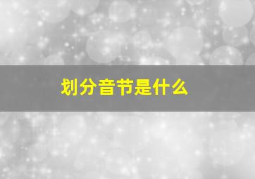 划分音节是什么