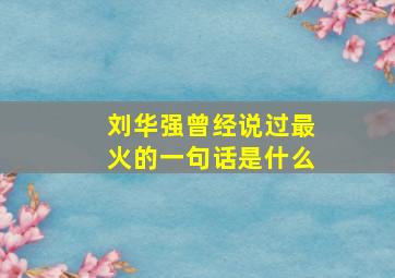 刘华强曾经说过最火的一句话是什么