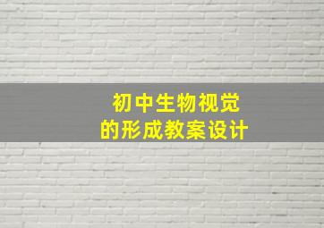 初中生物视觉的形成教案设计