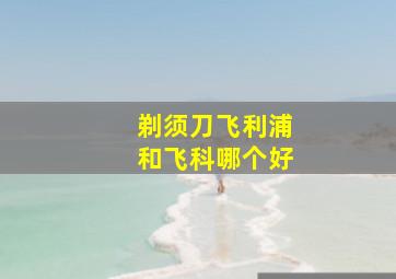 剃须刀飞利浦和飞科哪个好