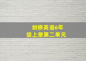 剑桥英语6年级上册第二单元