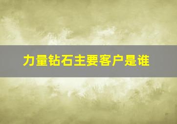 力量钻石主要客户是谁