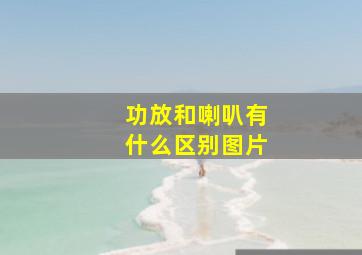 功放和喇叭有什么区别图片