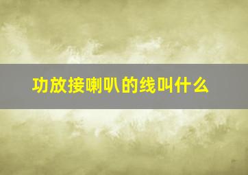 功放接喇叭的线叫什么