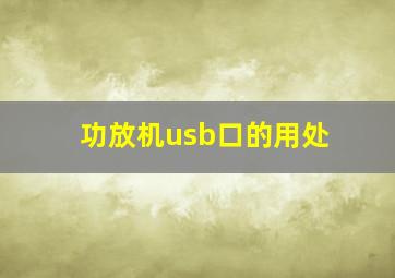 功放机usb口的用处