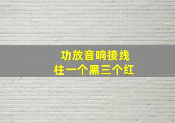 功放音响接线柱一个黑三个红