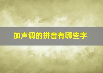 加声调的拼音有哪些字