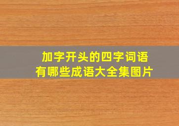 加字开头的四字词语有哪些成语大全集图片