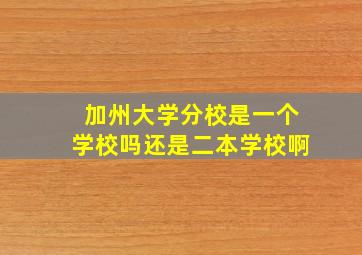 加州大学分校是一个学校吗还是二本学校啊