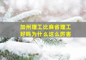 加州理工比麻省理工好吗为什么这么厉害