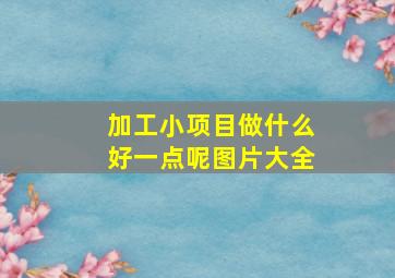 加工小项目做什么好一点呢图片大全