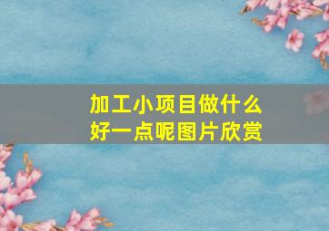 加工小项目做什么好一点呢图片欣赏