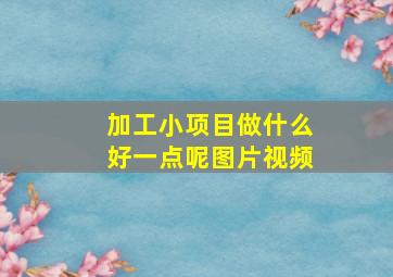 加工小项目做什么好一点呢图片视频