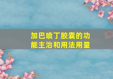 加巴喷丁胶囊的功能主治和用法用量