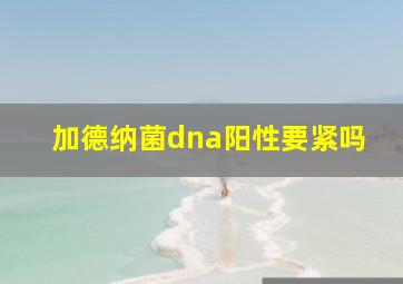 加德纳菌dna阳性要紧吗