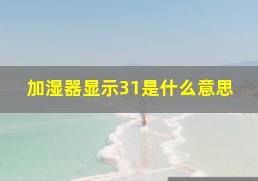 加湿器显示31是什么意思