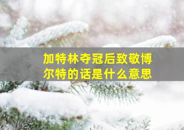 加特林夺冠后致敬博尔特的话是什么意思