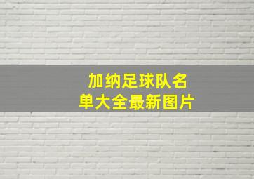 加纳足球队名单大全最新图片