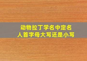 动物拉丁学名中定名人首字母大写还是小写