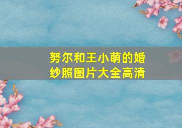 努尔和王小萌的婚纱照图片大全高清