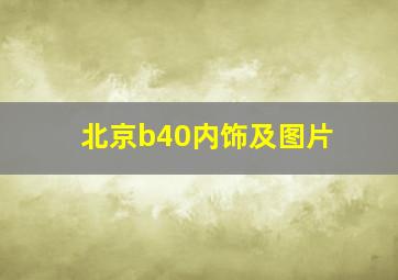 北京b40内饰及图片