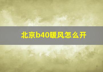 北京b40暖风怎么开