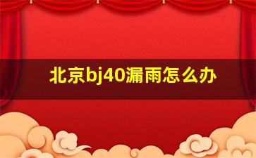 北京bj40漏雨怎么办