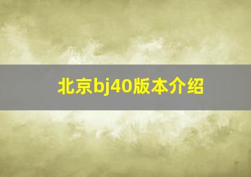 北京bj40版本介绍