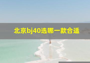 北京bj40选哪一款合适