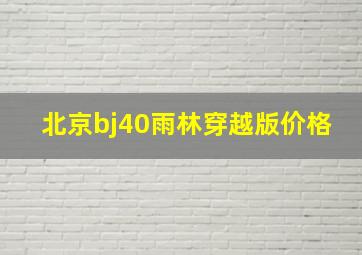 北京bj40雨林穿越版价格