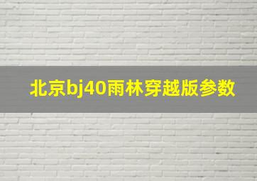 北京bj40雨林穿越版参数