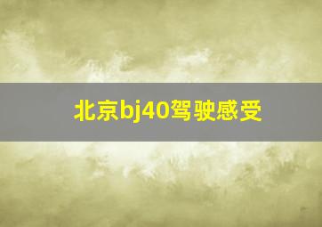 北京bj40驾驶感受