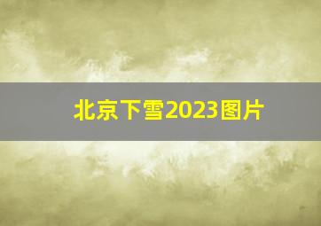 北京下雪2023图片