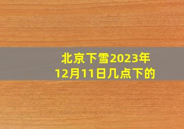 北京下雪2023年12月11日几点下的