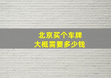 北京买个车牌大概需要多少钱