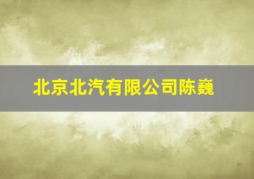 北京北汽有限公司陈巍