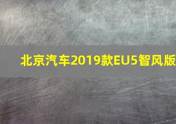 北京汽车2019款EU5智风版