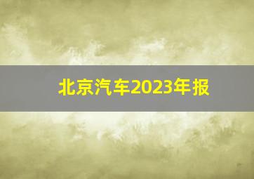 北京汽车2023年报