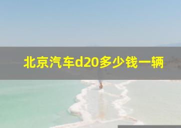 北京汽车d20多少钱一辆