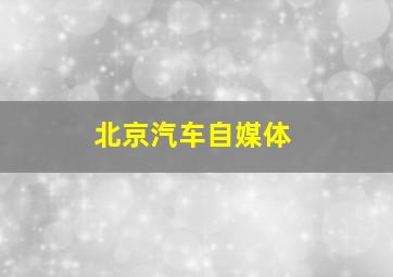 北京汽车自媒体