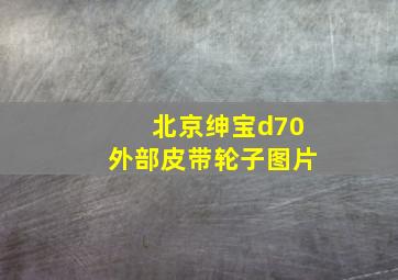 北京绅宝d70外部皮带轮子图片