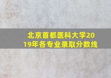 北京首都医科大学2019年各专业录取分数线