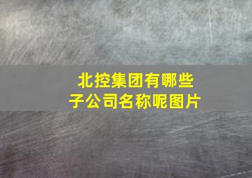 北控集团有哪些子公司名称呢图片