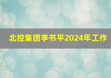 北控集团李书平2024年工作