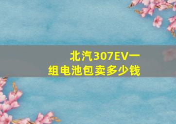 北汽307EV一组电池包卖多少钱